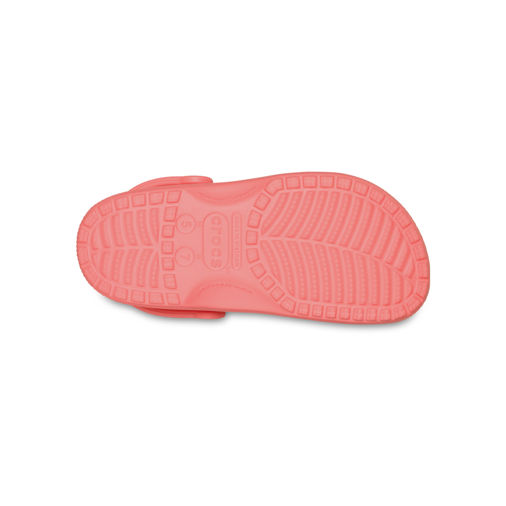 Classic Clog in Guava