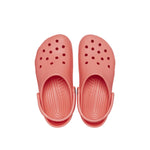 Classic in Neon Watermelon