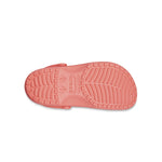 Classic in Neon Watermelon