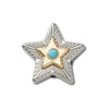 Jibbitz™ Charm Silver Turquoise Star