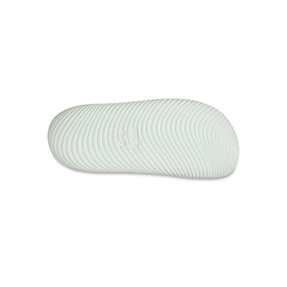 Plaster