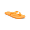 Orangesicle