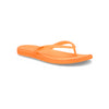 Orangesicle