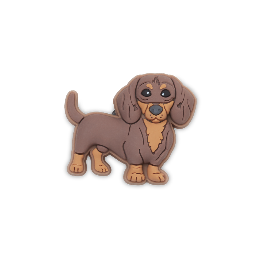 Dachshund Puppy 